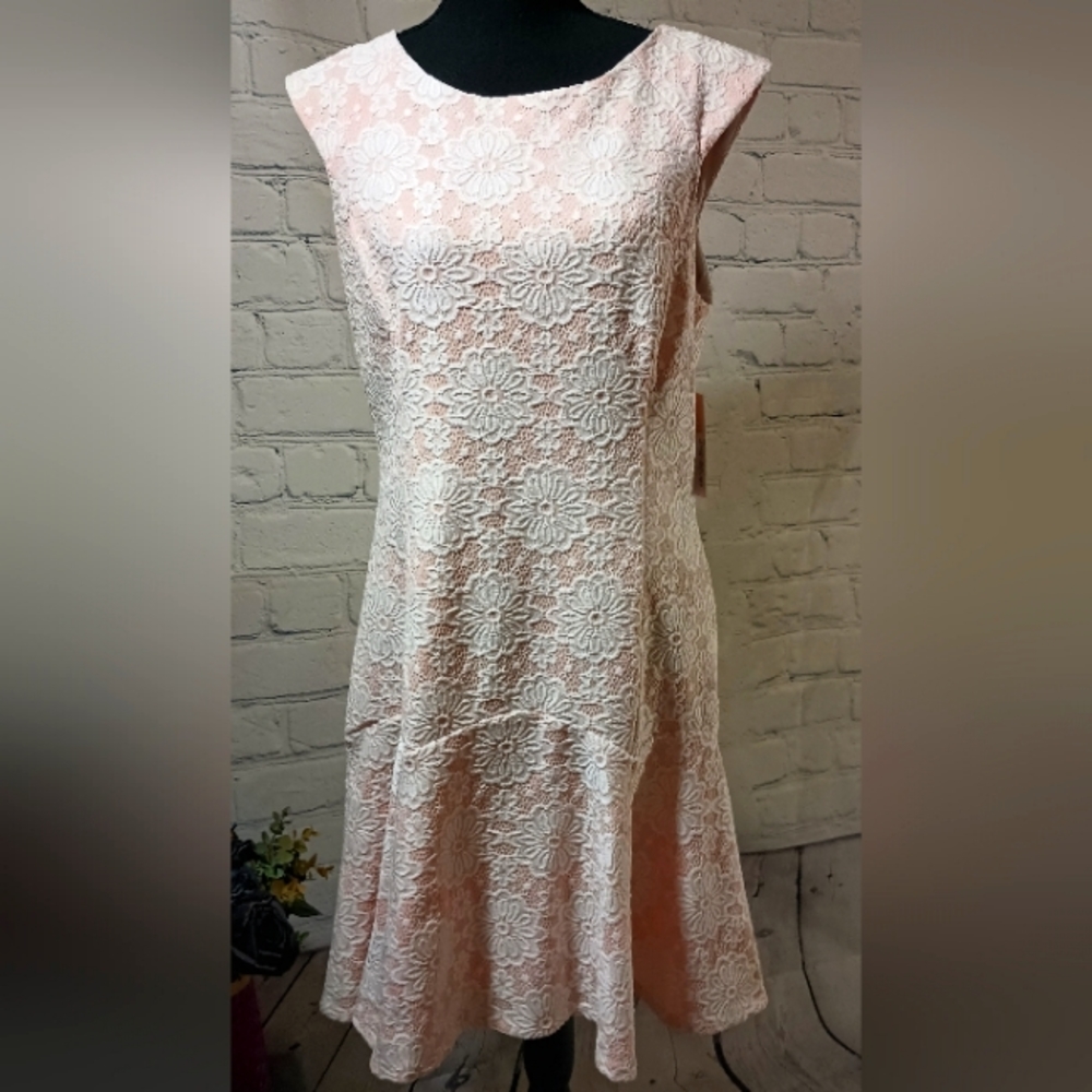 Cap Sleeve Round neck Woven Lace Midi Flounce Dress BarelyBlush Marshmallow